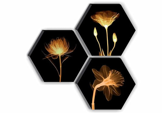 SAF Set of 3 Hexagon Preety Brown Floral UV Textured MDF Home Decorative Gift Item Painting 17 Inch X 17 Inch SANFHX15SMALL